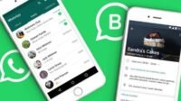 Panduan Lengkap Unduh WhatsApp Business Resmi
