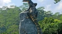 Panduan Menuju Lokasi Patung Biawak Wonosobo