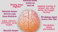Demensia dan Alzheimer: Memahami Perbedaan, Gejala, Penyebab, dan Perawatan