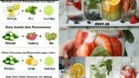Segarnya Infused Water: Resep, Manfaat, dan Tips untuk Hidrasi Optimal