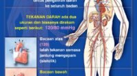 Tekanan Darah Tinggi: Musuh Tersembunyi dan Cara Melawannya