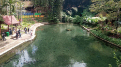 Empat Destinasi Liburan Terbaik di Banyuwangi