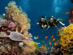 Keindahan Laut Bunaken Jadi Daya Tarik Dunia