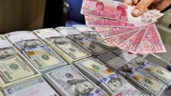 Dividen Triliunan Rupiah Cair Pekan Akhir