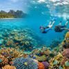 Destinasi Wisata Snorkeling Terbaik Dengan Terumbu Karang Paling Indah Di Seluruh Indonesia